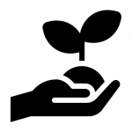 87df1375e837cc6c06c2d461b1d2fa01